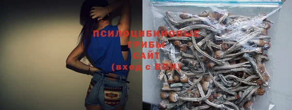 СК Абдулино