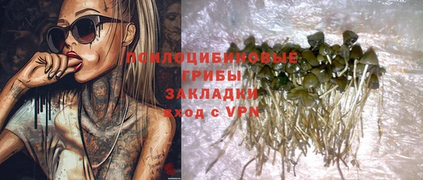 Альфа ПВП Алзамай